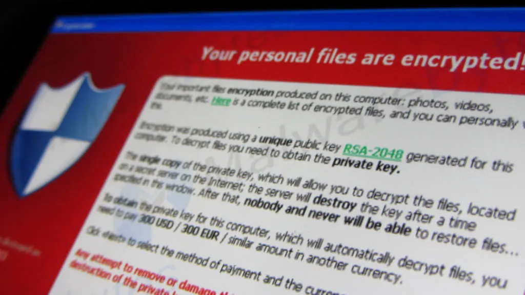 20012126873_c644607795_b